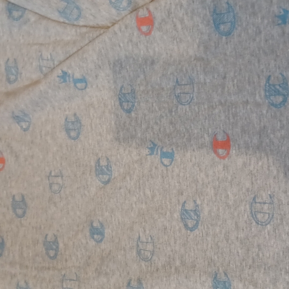 NWT Champion Gray Cropped Tee - Picture 6 of 6